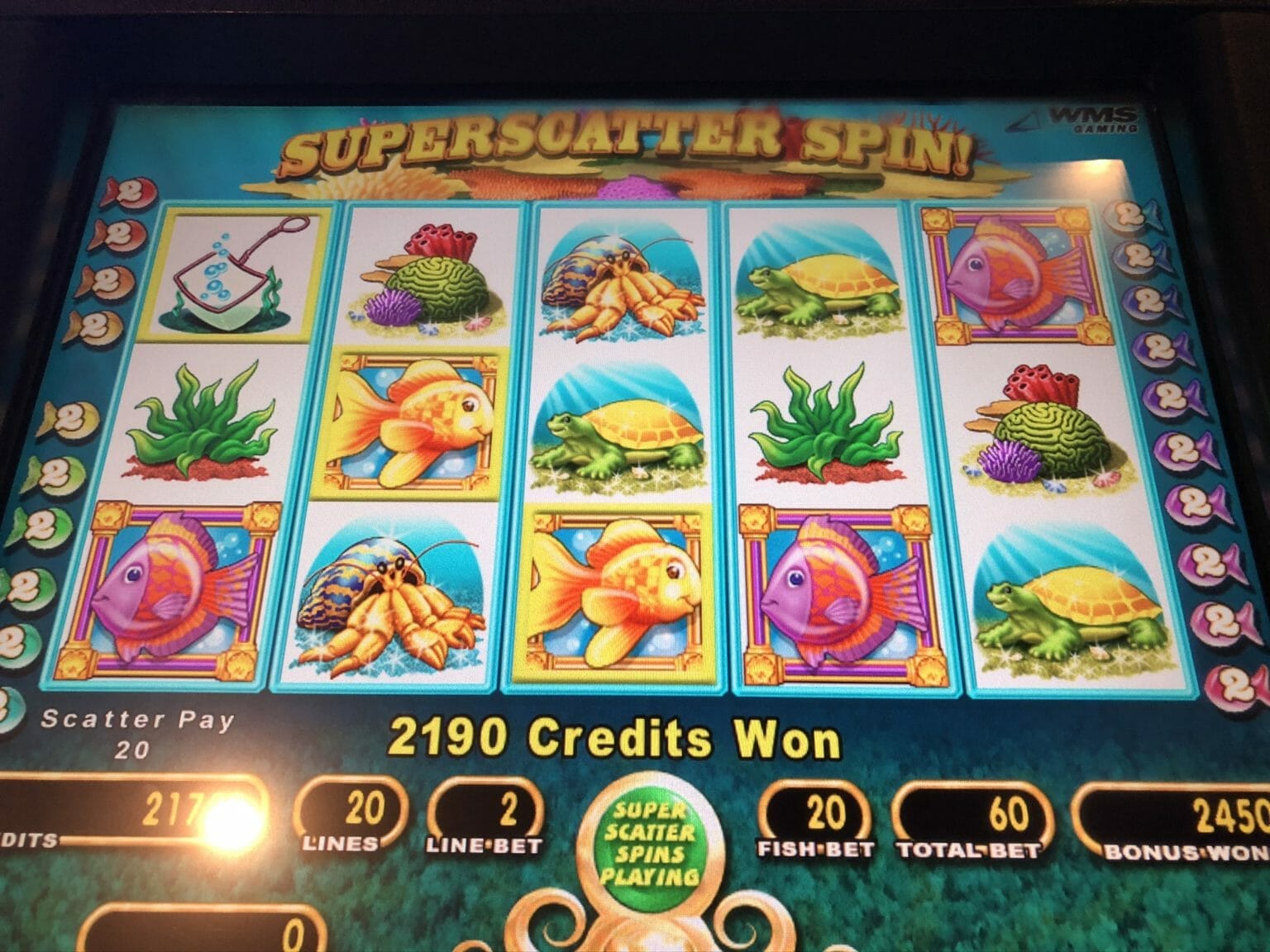 Khám phá bec88 với trò chơi game trong hoa online đầy thú vị